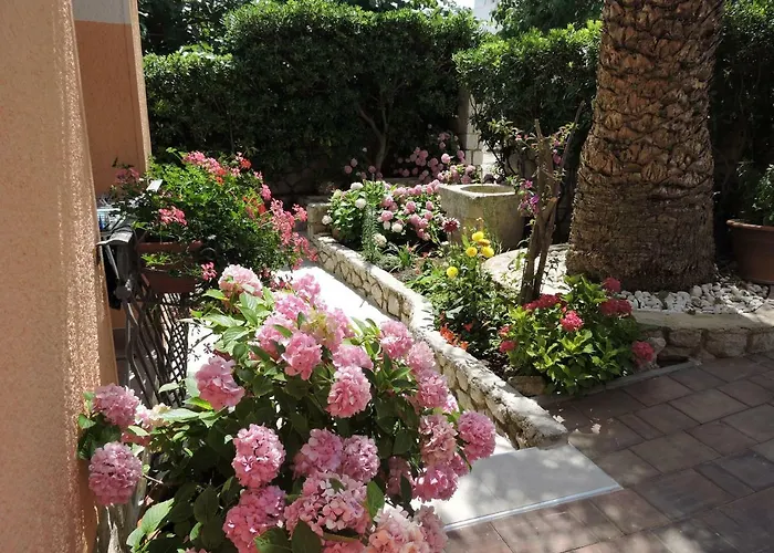 Neda * マリ・ロシニュ